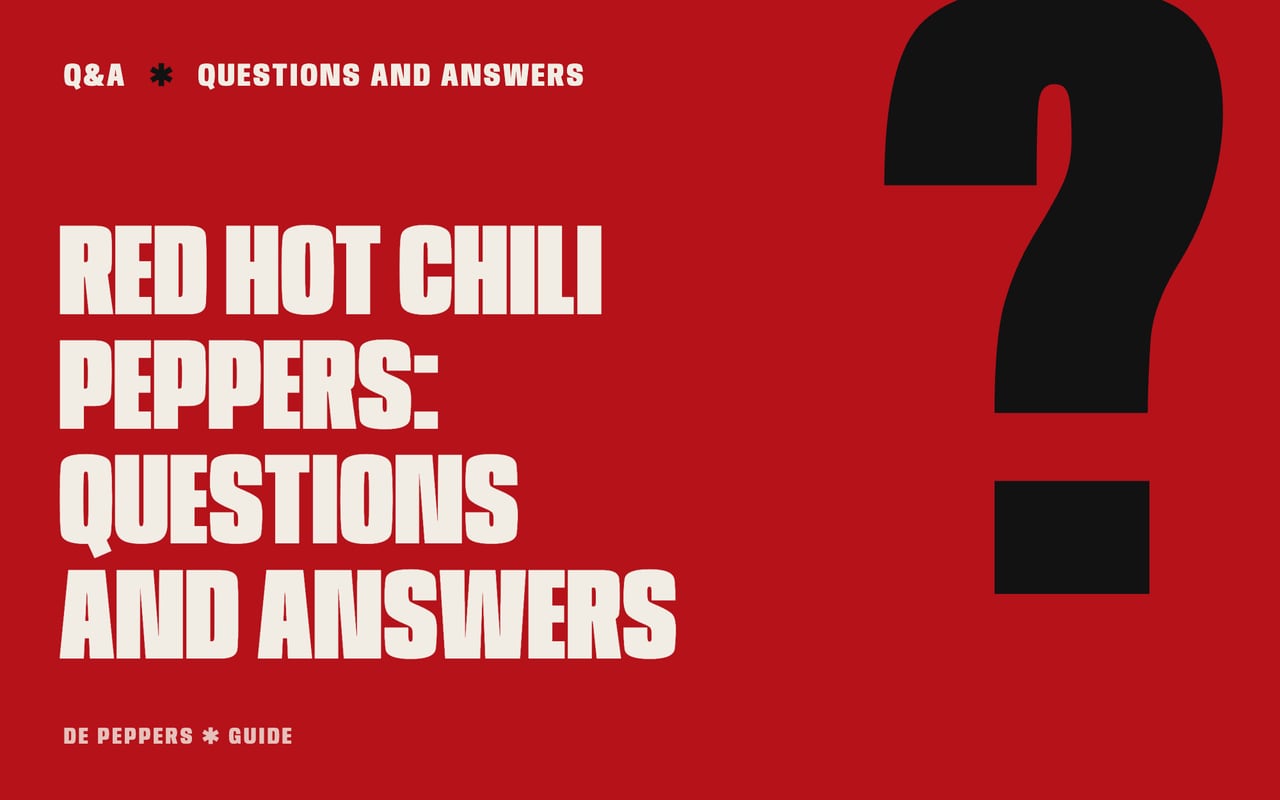 Typographic header: questions and answers about the Red Hot Chili Peppers