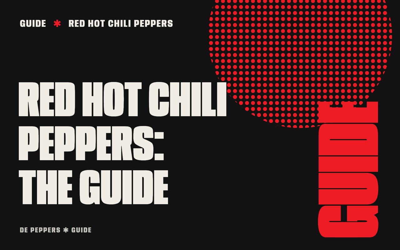 Typographic header: Red Hot Chili Peppers, the guide