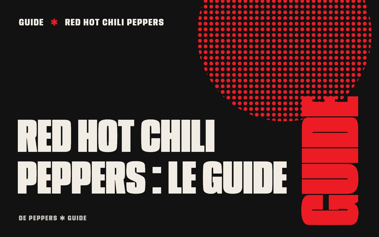 Visuel typographique : Red Hot Chili Peppers, le guide