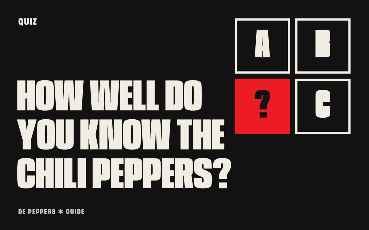 Typographic header with question marks: a quiz about the Red Hot Chili Peppers