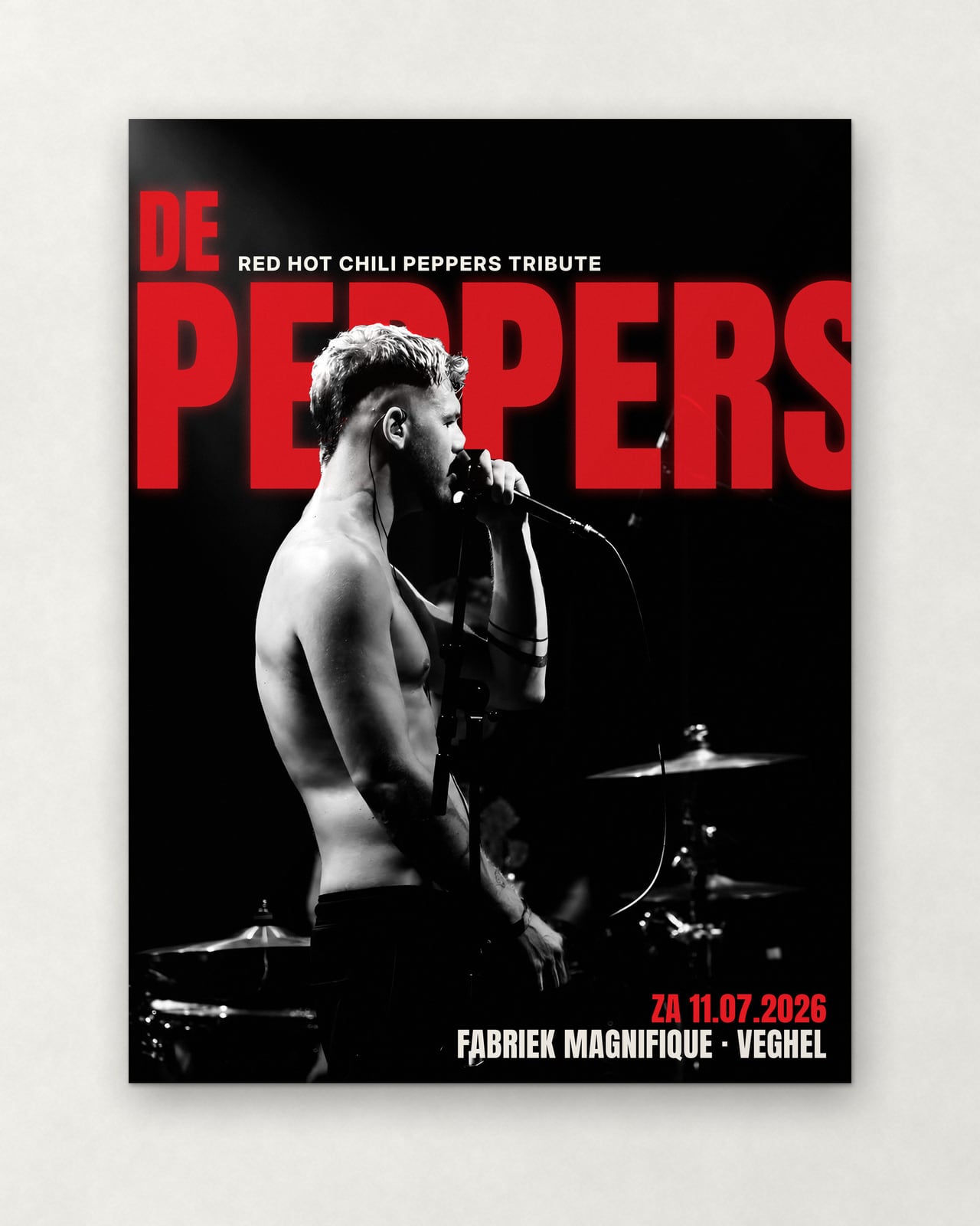 Poster ‘De zanger’ · 30 × 40 cm · beeld 2