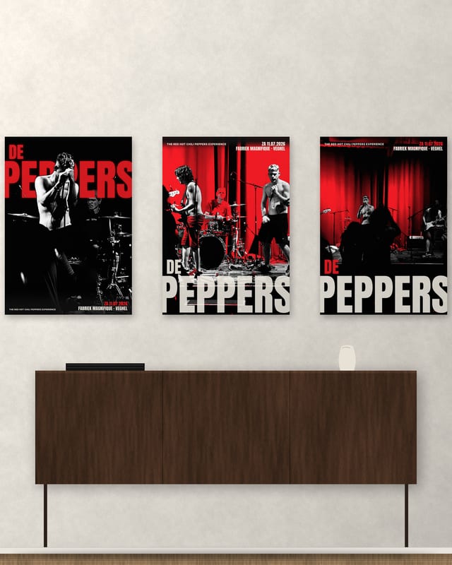 Poster · De zanger · Beeld 4 van 4