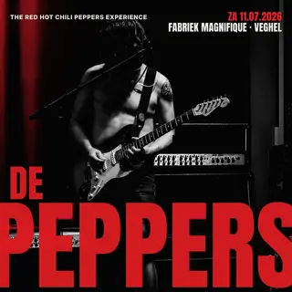 De gitarist