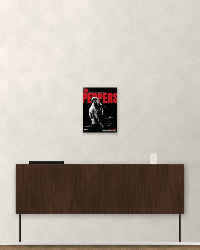 Poster · De zanger · Beeld 2 van 4