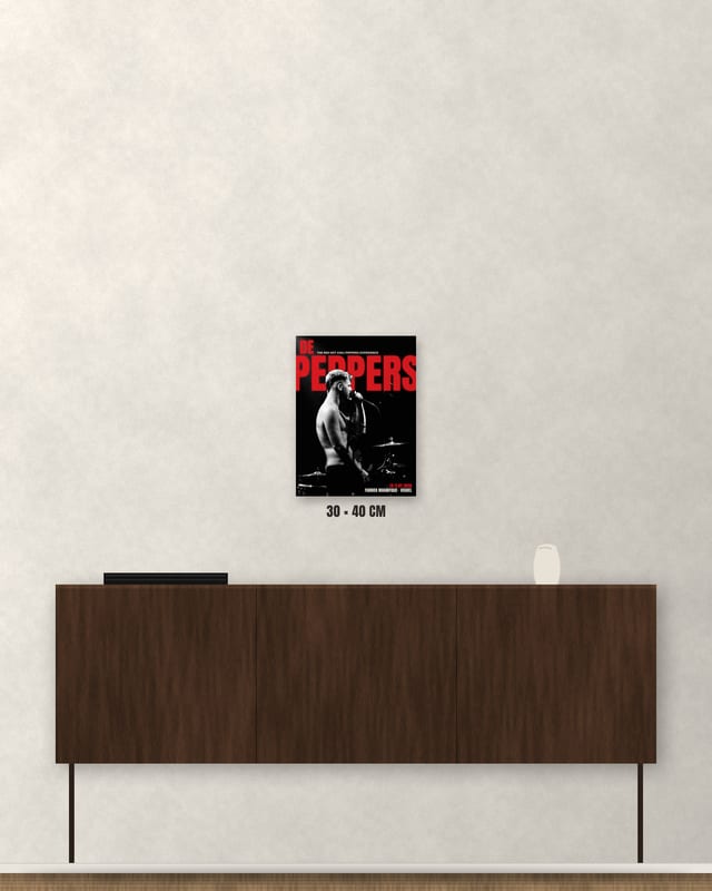 Poster · De zanger · Beeld 3 van 4